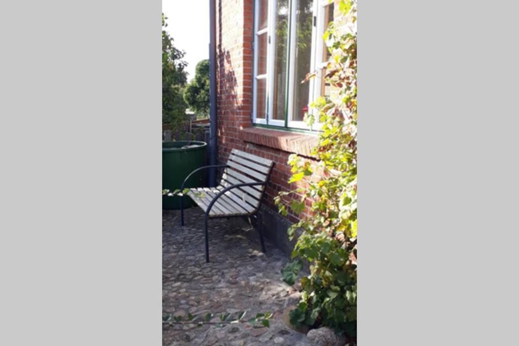 Ferienwohnung In Seenaehe Borgdorf-Seedorf Extérieur photo